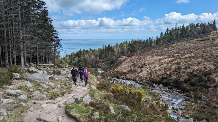 A view down a hill with a woodland and the sea in the background. Three people are walking up the hill recording a podcast.